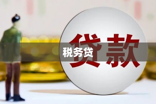 暖暖税务贷