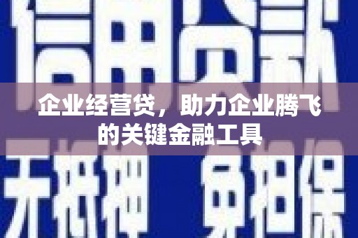 暖暖企业经营贷，助力企业腾飞的关键金融工具