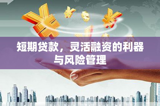 暖暖短期贷款，灵活融资的利器与风险管理