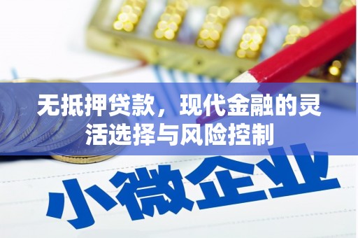 暖暖无抵押贷款，现代金融的灵活选择与风险控制