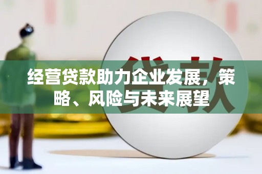 暖暖经营贷款助力企业发展，策略、风险与未来展望