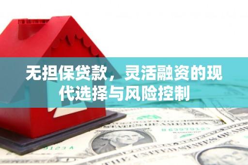 暖暖无担保贷款，灵活融资的现代选择与风险控制