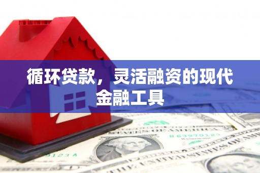 暖暖循环贷款，灵活融资的现代金融工具