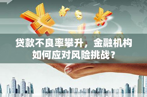 暖暖贷款不良率攀升，金融机构如何应对风险挑战？