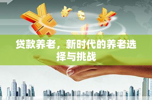 暖暖贷款养老，新时代的养老选择与挑战