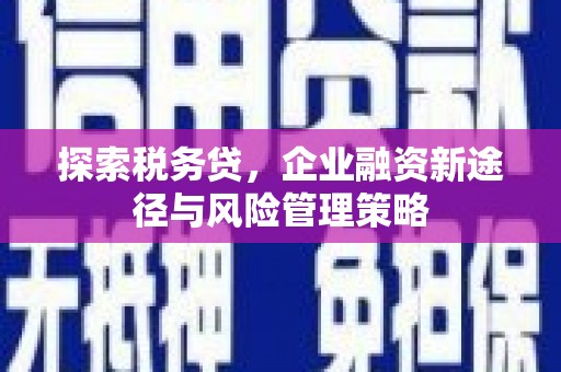 暖暖探索税务贷，企业融资新途径与风险管理策略