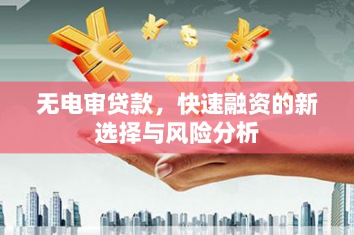 暖暖无电审贷款，快速融资的新选择与风险分析