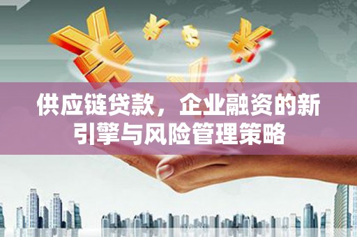 暖暖供应链贷款，企业融资的新引擎与风险管理策略