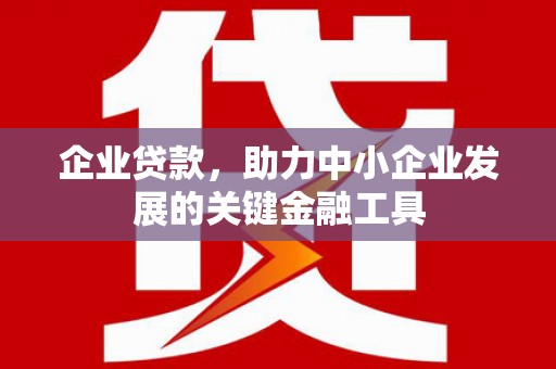 暖暖企业贷款，助力中小企业发展的关键金融工具