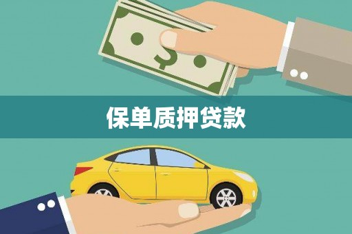 暖暖保单质押贷款