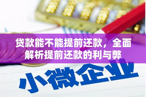 暖暖贷款能不能提前还款，全面解析提前还款的利与弊