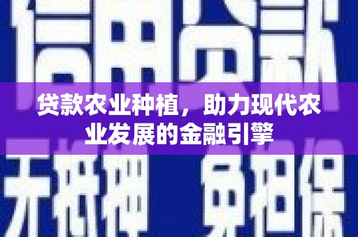 暖暖贷款农业种植，助力现代农业发展的金融引擎