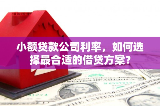 暖暖小额贷款公司利率，如何选择最合适的借贷方案？