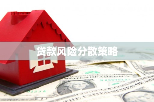 暖暖贷款风险分散策略