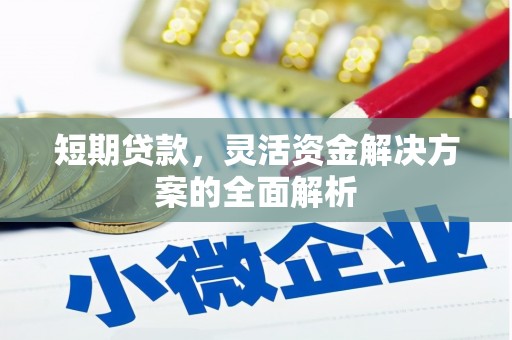 暖暖短期贷款，灵活资金解决方案的全面解析