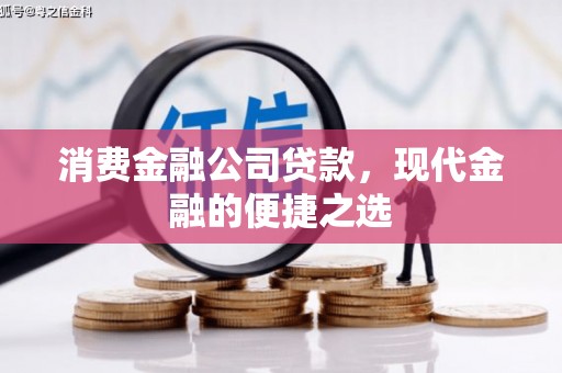 暖暖消费金融公司贷款，现代金融的便捷之选