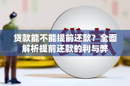 暖暖贷款能不能提前还款？全面解析提前还款的利与弊