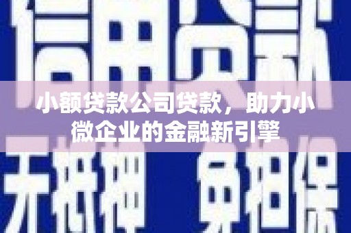 暖暖小额贷款公司贷款，助力小微企业的金融新引擎