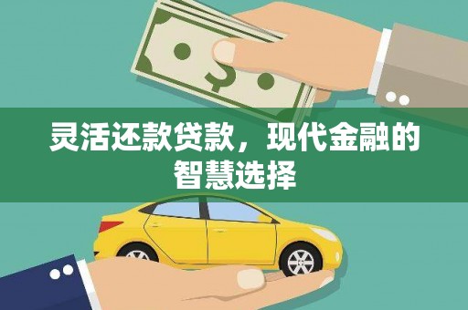 暖暖灵活还款贷款，现代金融的智慧选择
