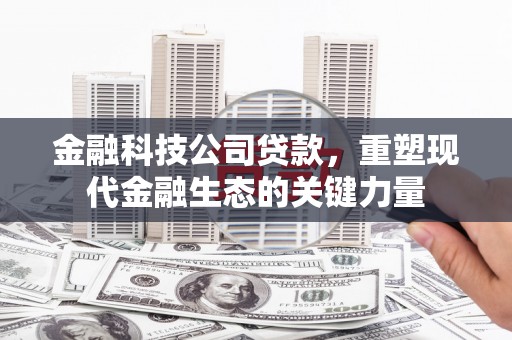 暖暖金融科技公司贷款，重塑现代金融生态的关键力量