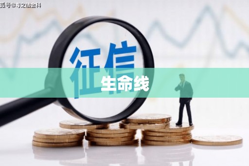 暖暖生命线