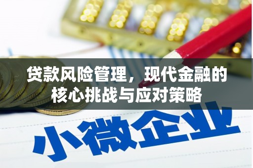 暖暖贷款风险管理，现代金融的核心挑战与应对策略