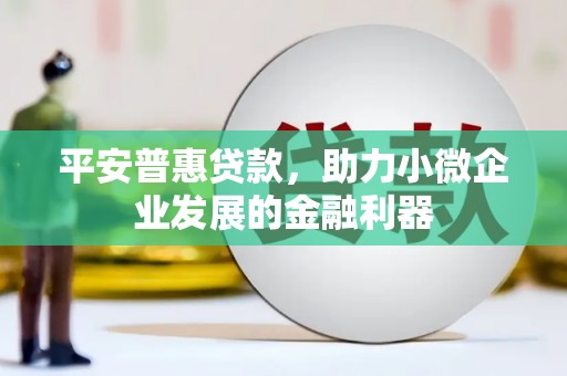 暖暖平安普惠贷款，助力小微企业发展的金融利器