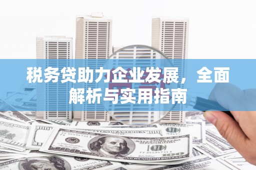 暖暖税务贷助力企业发展，全面解析与实用指南