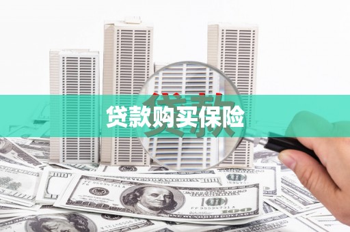 暖暖贷款购买保险