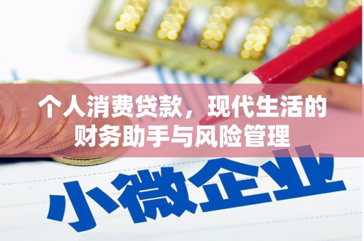 暖暖个人消费贷款，现代生活的财务助手与风险管理