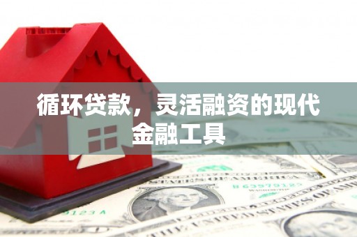 暖暖循环贷款，灵活融资的现代金融工具