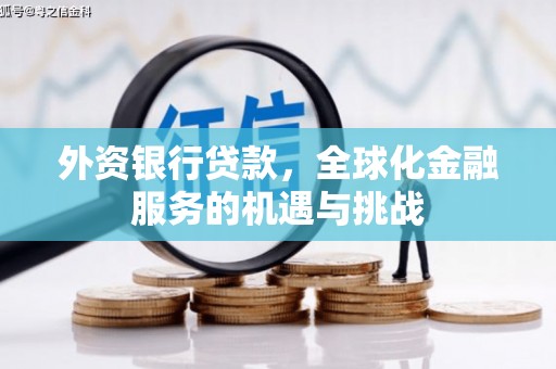 暖暖外资银行贷款，全球化金融服务的机遇与挑战