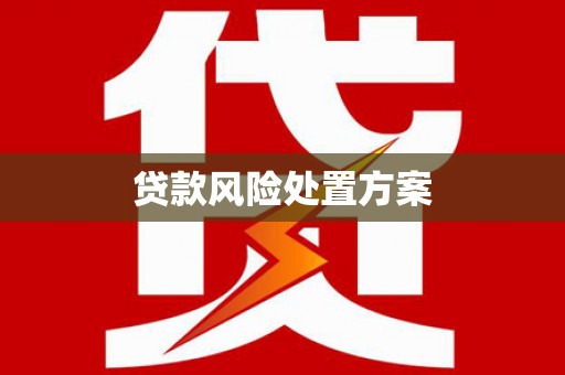 暖暖贷款风险处置方案