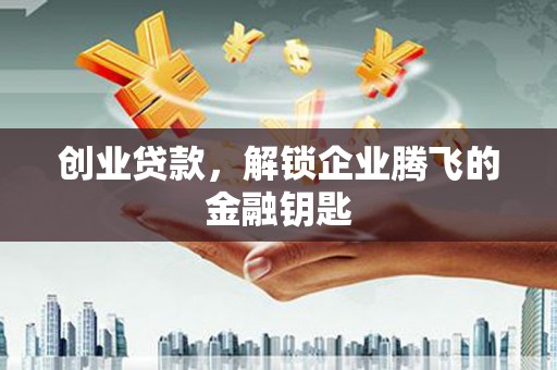 暖暖创业贷款，解锁企业腾飞的金融钥匙
