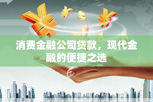 暖暖消费金融公司贷款，现代金融的便捷之选