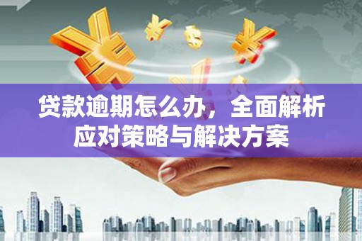 暖暖贷款逾期怎么办，全面解析应对策略与解决方案