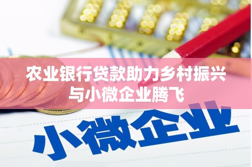 暖暖农业银行贷款助力乡村振兴与小微企业腾飞