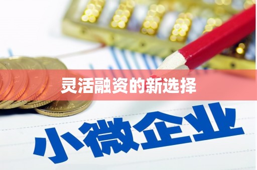 暖暖灵活融资的新选择