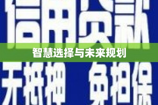 暖暖智慧选择与未来规划