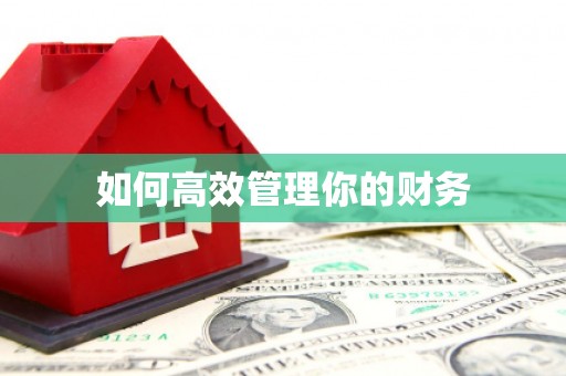 暖暖如何高效管理你的财务