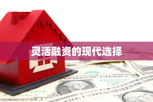 暖暖灵活融资的现代选择