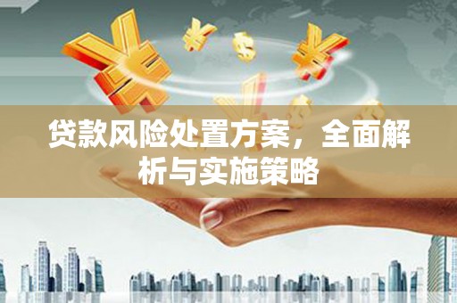 暖暖贷款风险处置方案，全面解析与实施策略