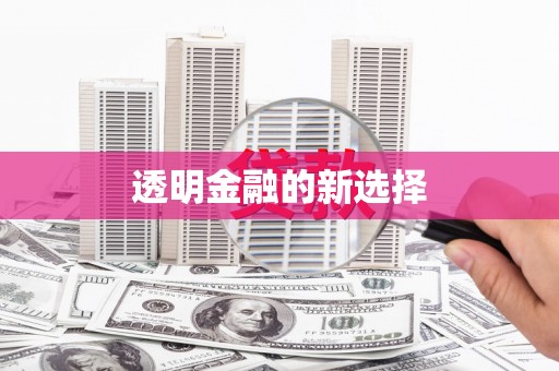 暖暖透明金融的新选择