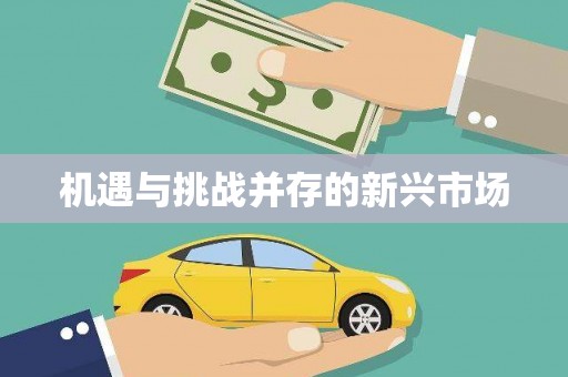 暖暖机遇与挑战并存的新兴市场