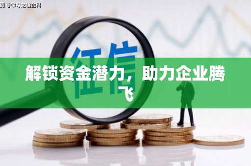 暖暖解锁资金潜力，助力企业腾飞