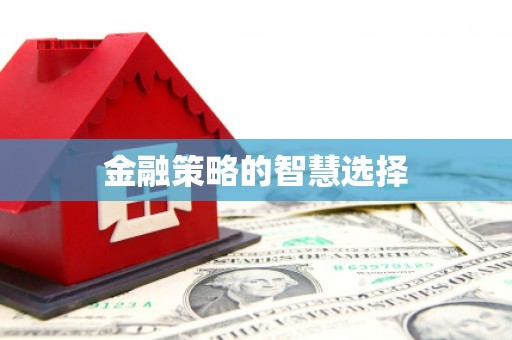 暖暖金融策略的智慧选择