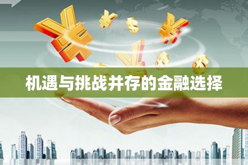 暖暖机遇与挑战并存的金融选择