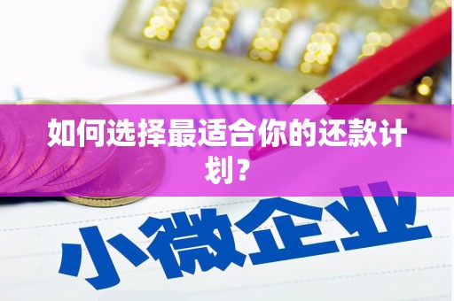 暖暖如何选择最适合你的还款计划？