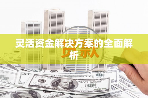 暖暖灵活资金解决方案的全面解析