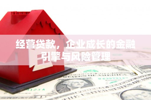 暖暖经营贷款，企业成长的金融引擎与风险管理